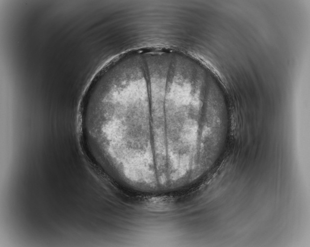 X0000096220584200802151524