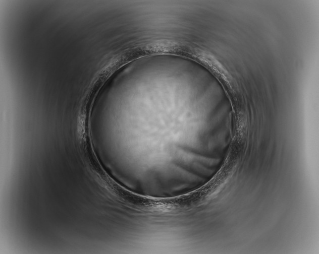 X0000096220585200802151524