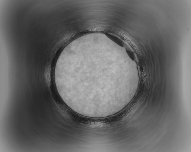 X0000096220586200802151524