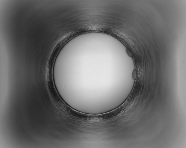 X0000096220587200802151524