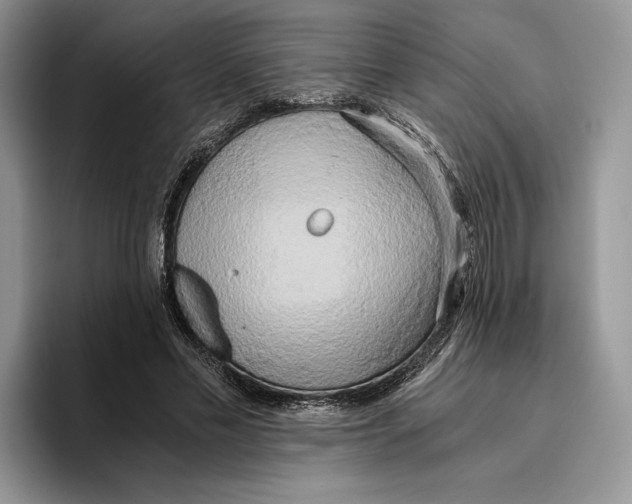 X0000096220589200802151524