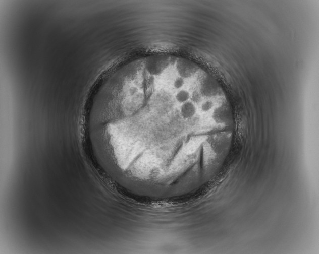 X0000096220591200802151524