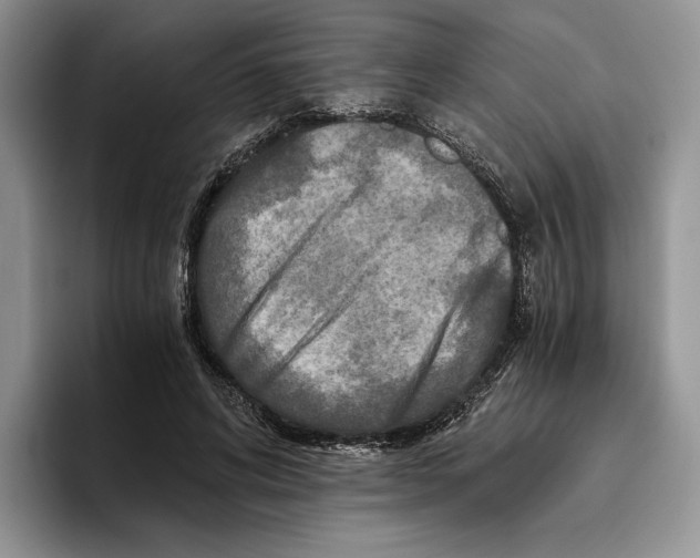 X0000096220592200802151524