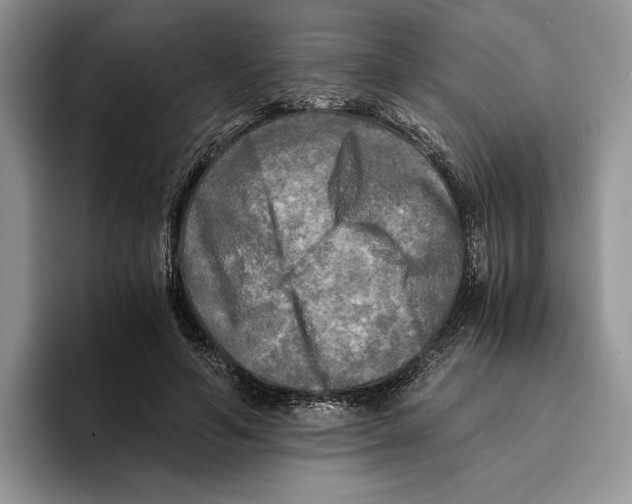 X0000096220594200802151524