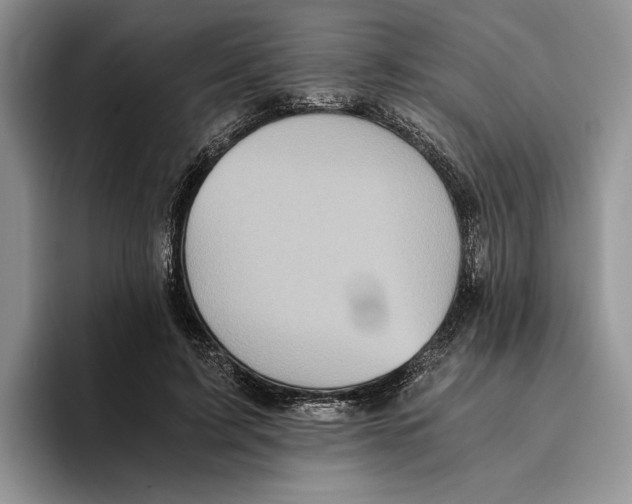 X0000096220595200802151524