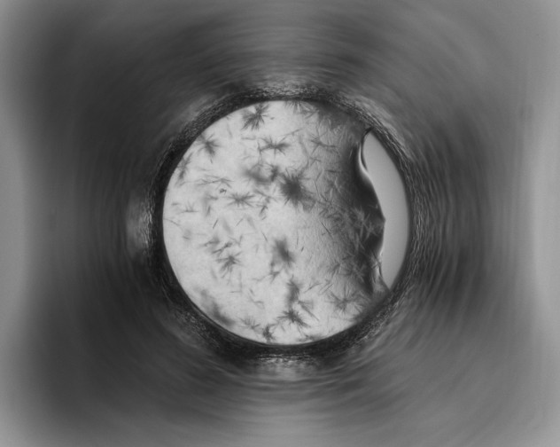 X0000096220596200802151523