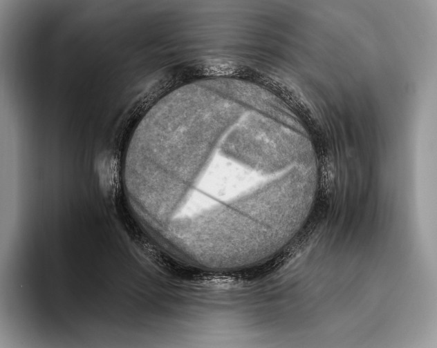 X0000096220598200802151523