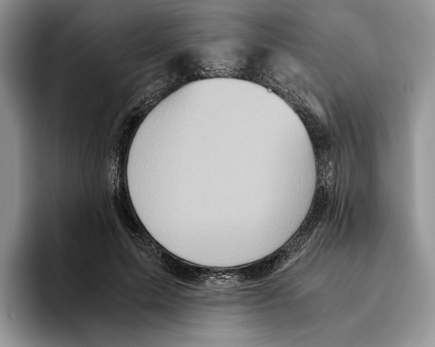 X0000096220599200802151523