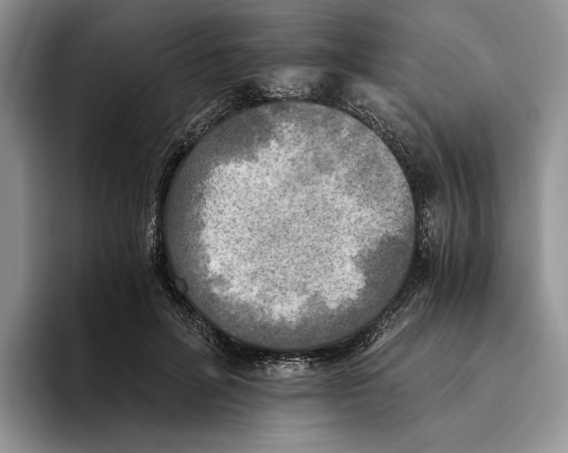 X0000096220600200802151523