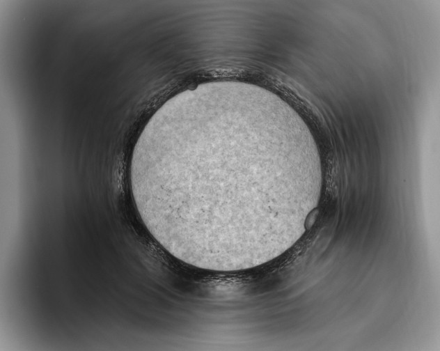 X0000096220604200802151523