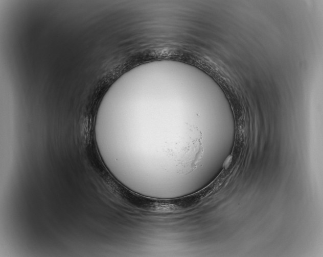 X0000096220605200802151523