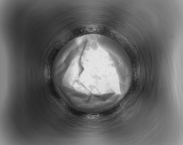 X0000096220606200802151523