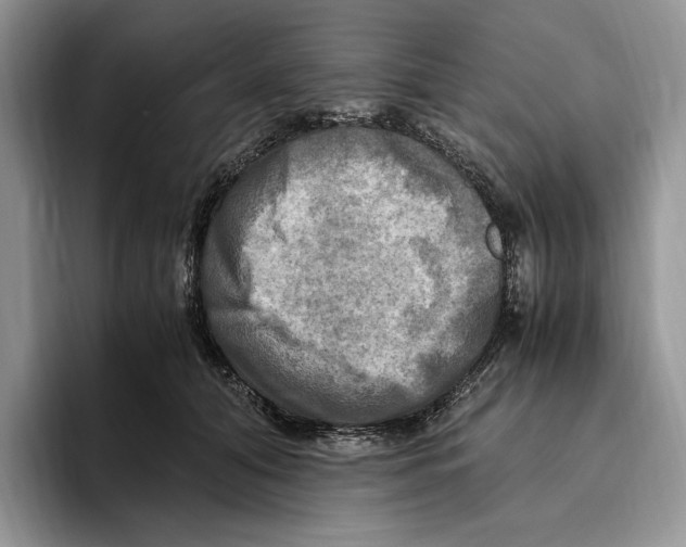 X0000096220608200802151523