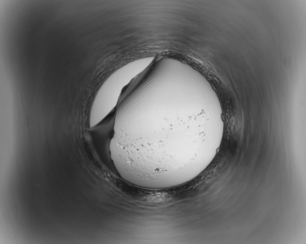 X0000096220609200802151523