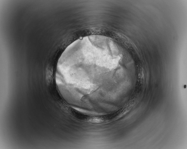 X0000096220610200802151523