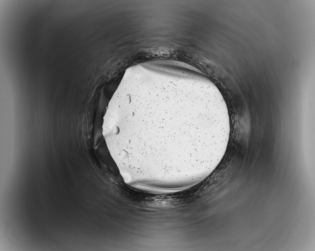 X0000096220612200802151523