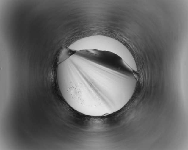 X0000096220613200802151523