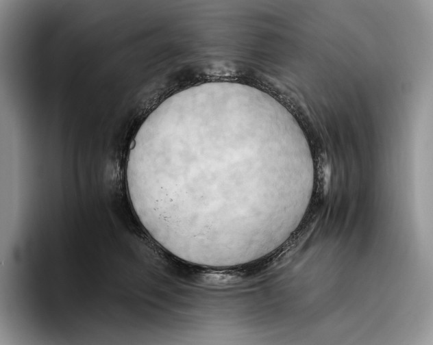 X0000096220614200802151523