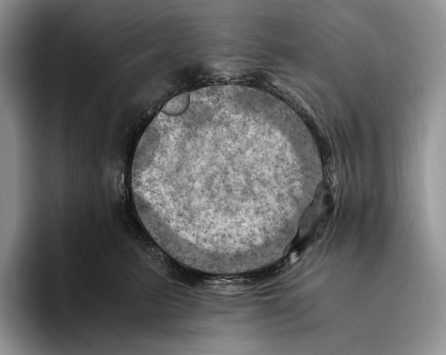 X0000096220615200802151523