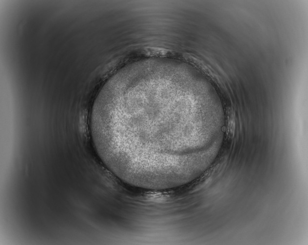 X0000096220616200802151523