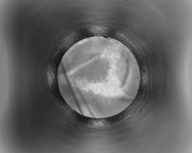 X0000096220618200802151523