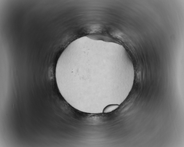 X0000096220620200802151523