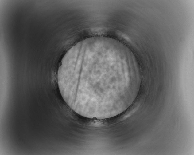 X0000096220624200802151523