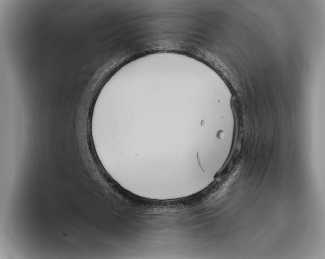 X0000096220625200802151523