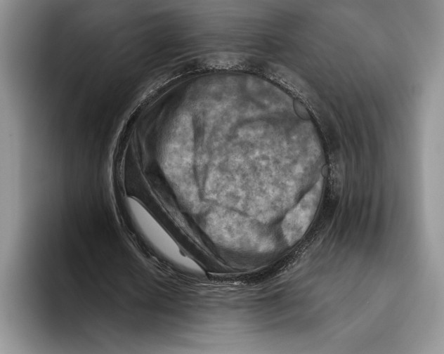 X0000096220626200802151523