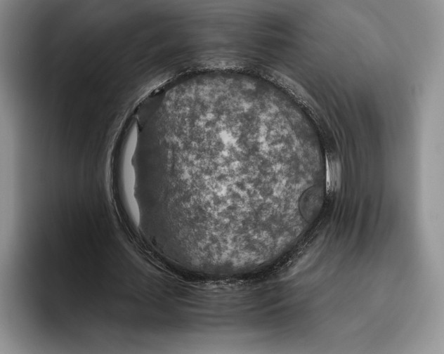 X0000096220627200802151523