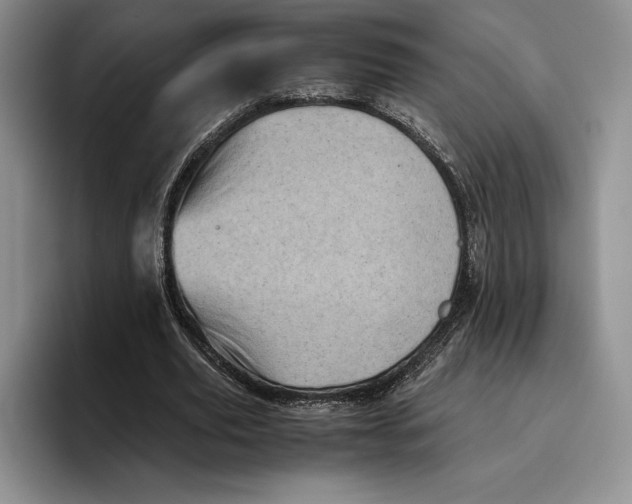 X0000096220629200802151523