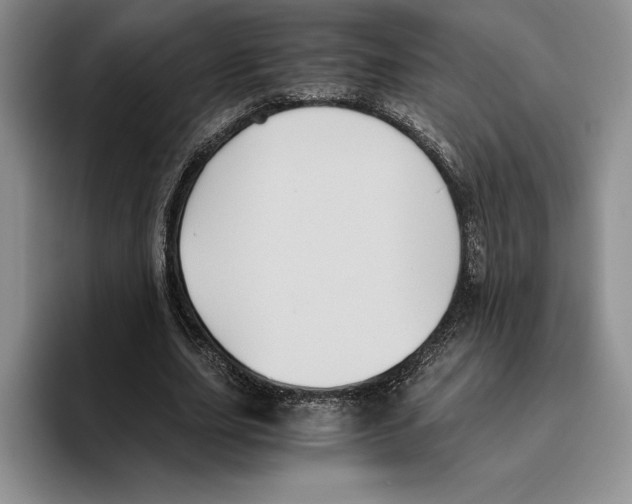 X0000096220631200802151523