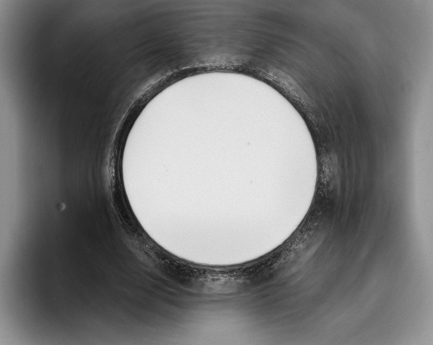 X0000096220632200802151523