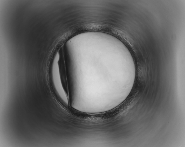 X0000096220633200802151523