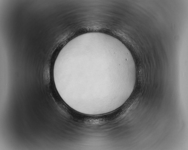 X0000096220638200802151523