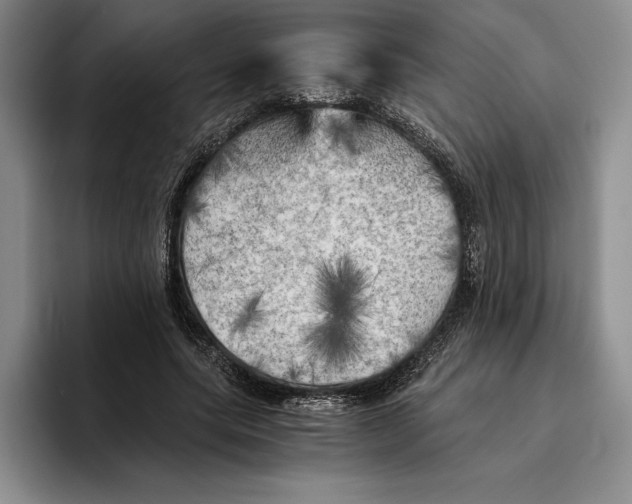 X0000096220639200802151523