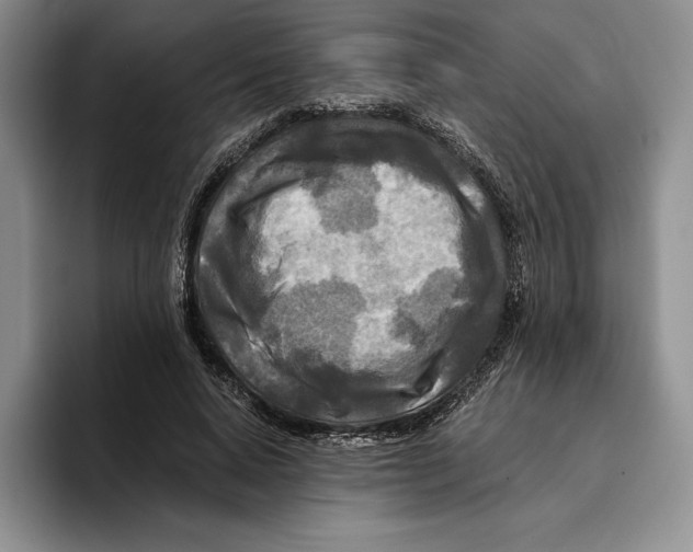 X0000096220640200802151523