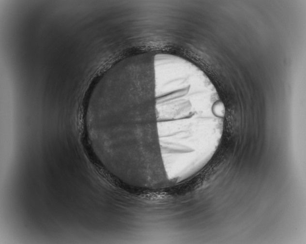 X0000096220642200802151523