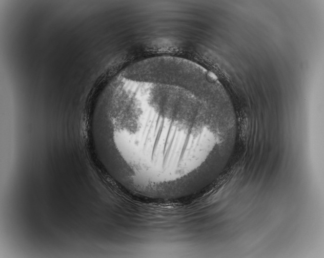 X0000096220643200802151523