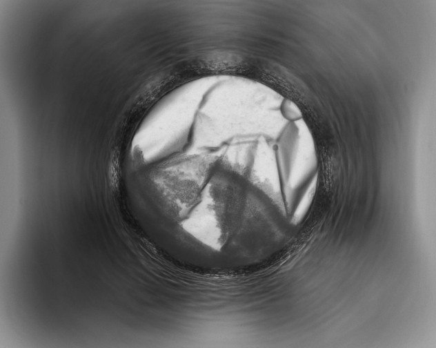 X0000096220644200802151523