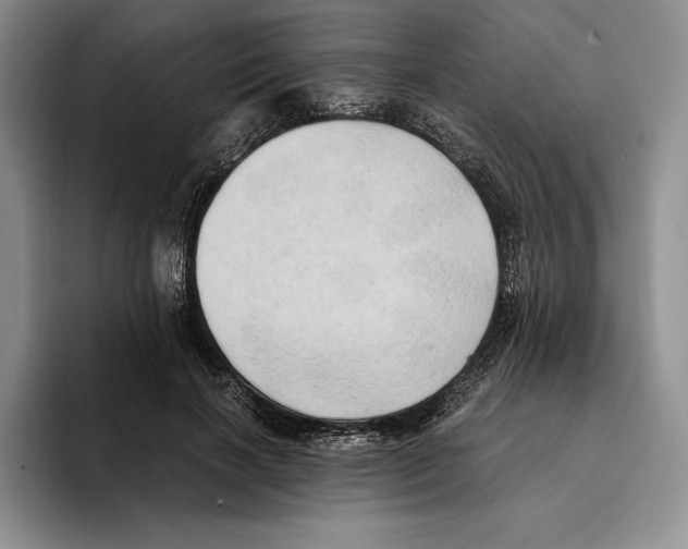 X0000096220646200802151523