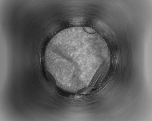 X0000096220647200802151523