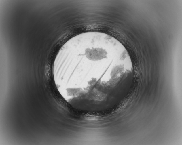 X0000096220648200802151523