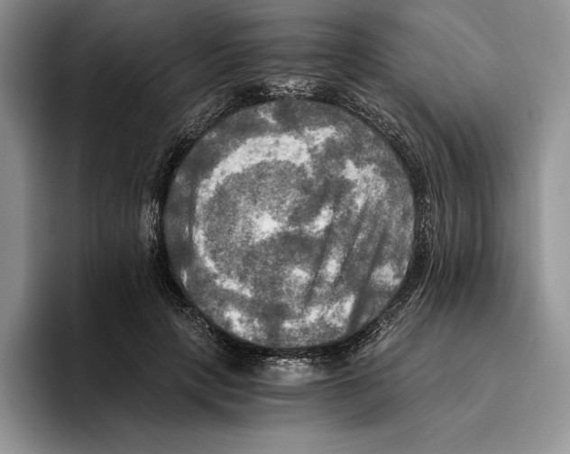 X0000096220649200802151523