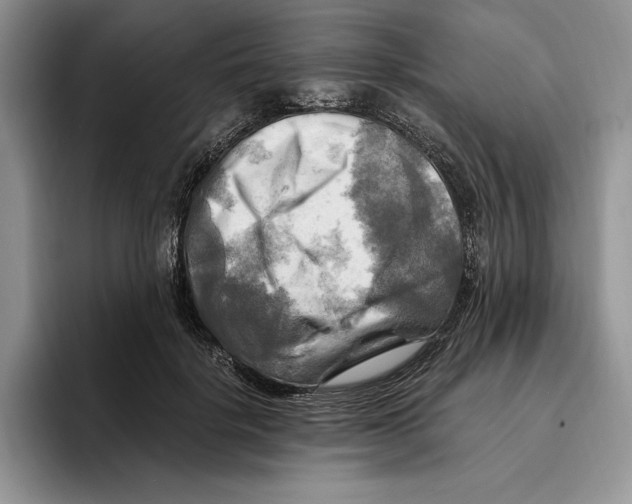 X0000096220652200802151523