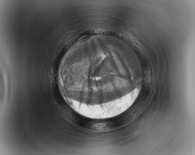 X0000096220653200802151523