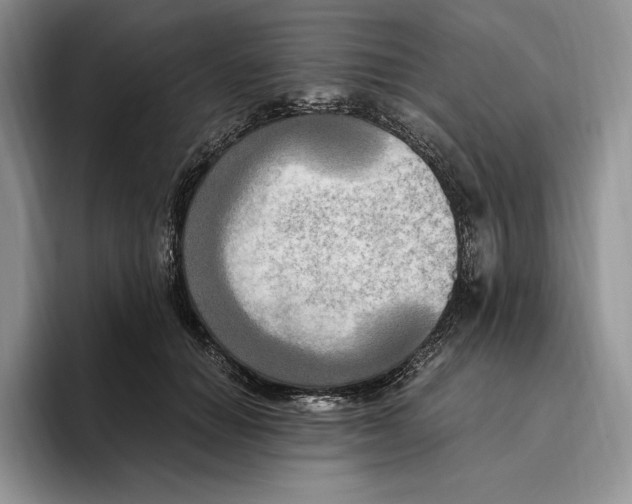 X0000096220654200802151523