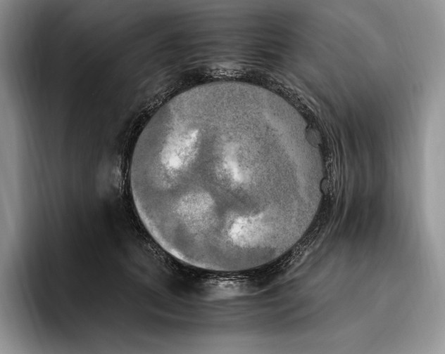 X0000096220655200802151523