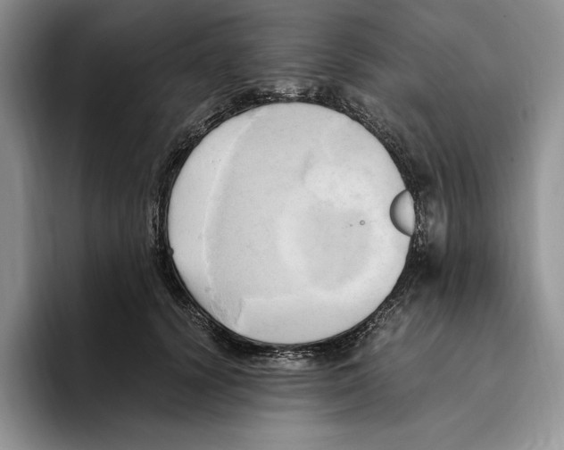 X0000096220656200802151523