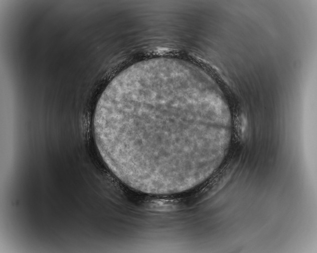 X0000096220657200802151523